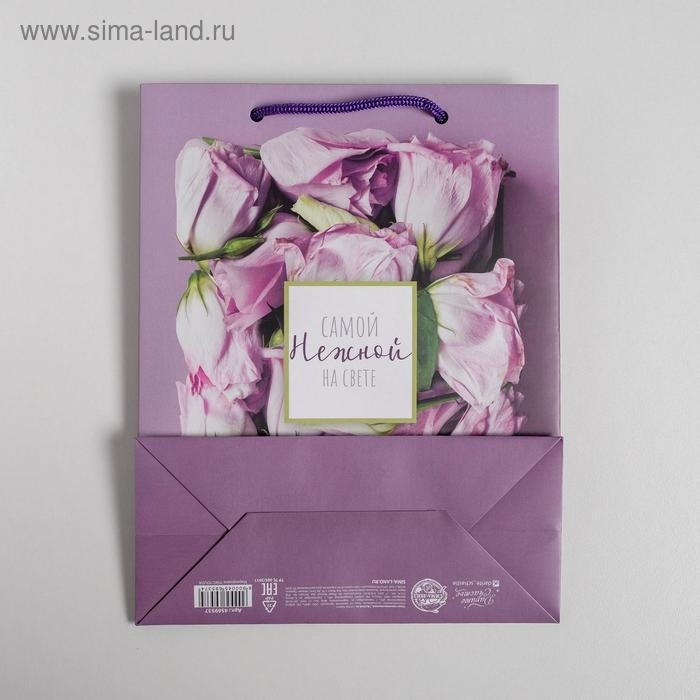 Пакет подарочный ламинированный, упаковка, &laquo;Самой Нежной на свете&raquo;, MS 18&times;23&times;10 см