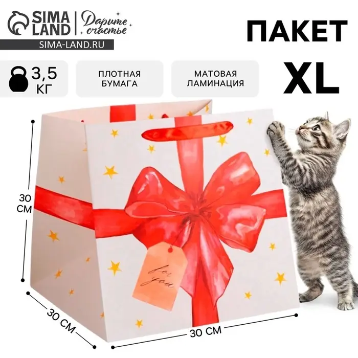 Пакет подарочный квадратный, упаковка, &laquo;For you&raquo;, 30&times;30&times;30 см