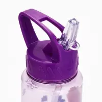 Бутылка для воды-непроливайка пластиковая с трубочкой &laquo;Эльза и Анна&raquo;, 750 мл, Холодное сердце