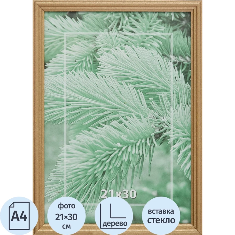 Рамка 21х30см деревянная, профиль №1, цвет 'золото