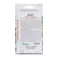Семена Баклажан Бернар F1, 10 шт Семена Баклажан Бернар F1, 10 шт