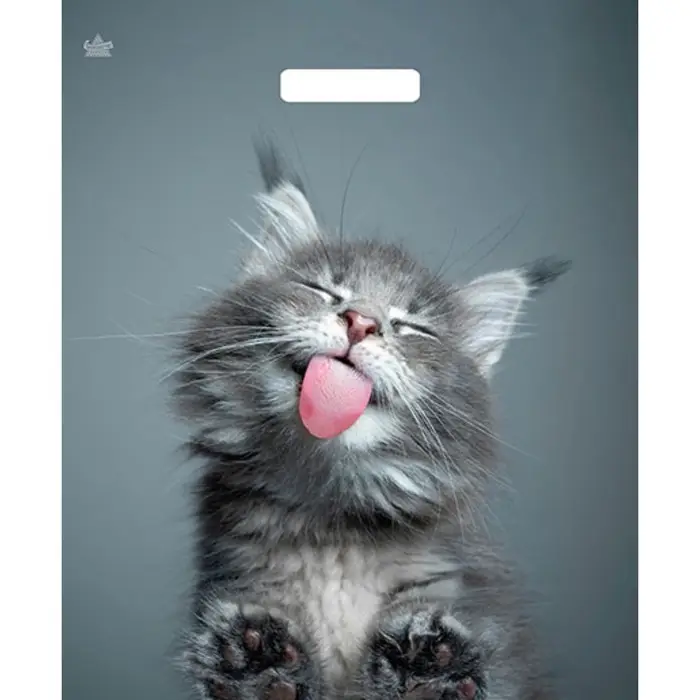 Пакет &laquo;Кот&raquo;, полиэтиленовый, с вырубной ручкой, 38&times;45 см, 60 мкм