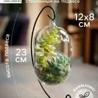 Флорариум &laquo;Цилиндр&raquo;, на подвесе, 12&times;8 см, h=23 см, стекло, прозрачный, чёрный
