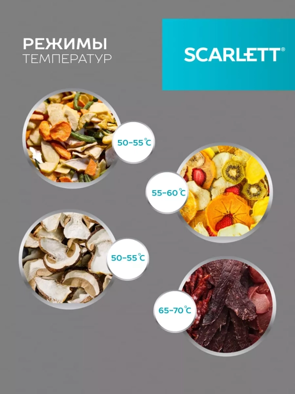 Сушилка для продуктов SC-FD421004 Сушилка для продуктов SC-FD421004