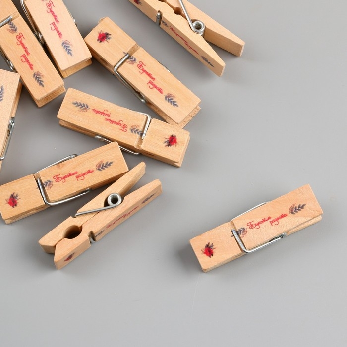 Декор для творчества дерево Декор для творчества дерево "Прищепка - Букетик радости" набор 10 шт