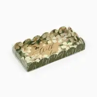 Коробка для печенья, кондитерская упаковка с пластиковой крышкой, «Пчёлка», 10.5 х 21 х 3 см