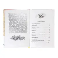Книга детская для внеклассного чтения &laquo;Кладовая солнца&raquo;, Пришвин М.