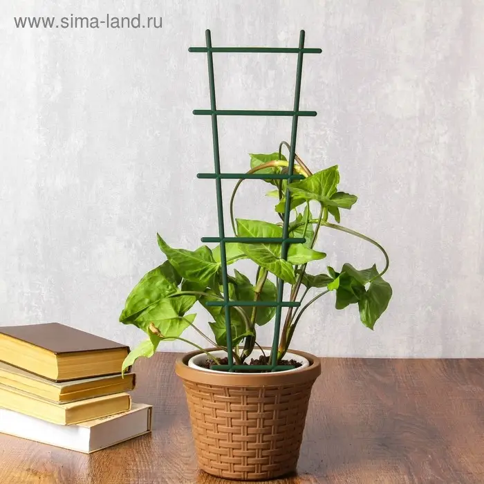 Шпалера, 56 × 19 × 0.5 см, пластик, цвет МИКС, «Лесенка» Шпалера, 56 × 19 × 0.5 см, пластик, цвет МИКС, «Лесенка»