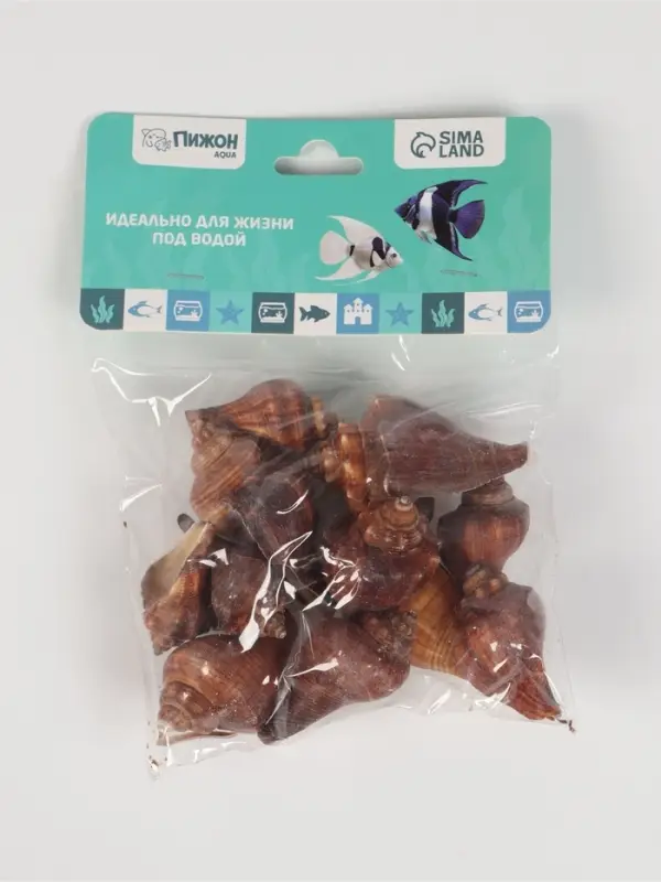 Набор ракушек, 5 - 7 см, 100 г