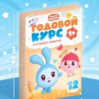 Книги &laquo;Годовой курс&raquo;, набор 12 книг, Малышарики