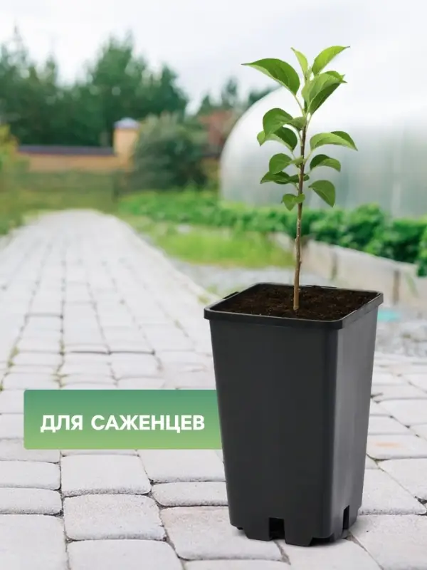 Горшок для рассады, 2 л, 12&times;12&times;17 см, пластик, чёрный