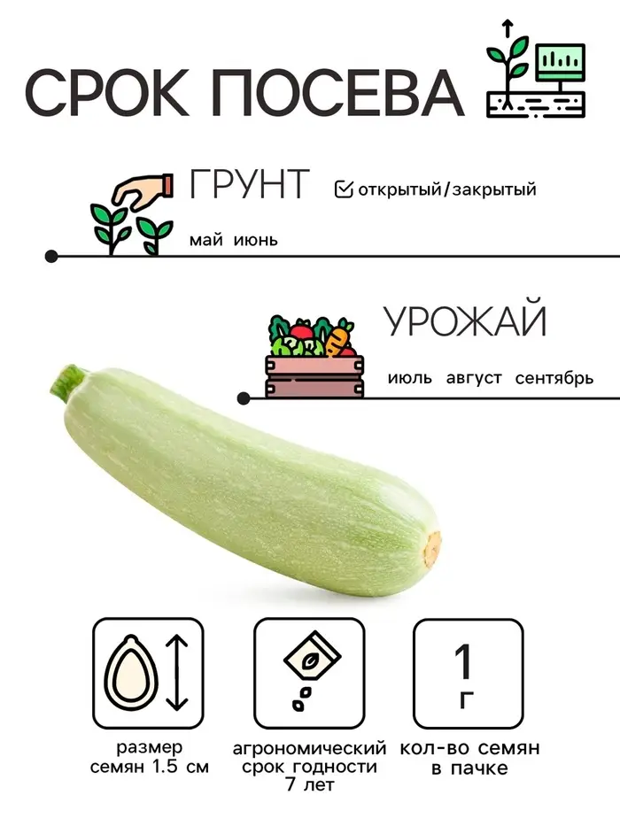 Семена Кабачок "Белоплодные", 1 г Семена Кабачок "Белоплодные", 1 г
