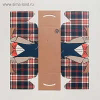 Коробка для капкейков, кондитерская упаковка, 2 ячейки «Настоящему мужчине», 16 х 8 х 10 см