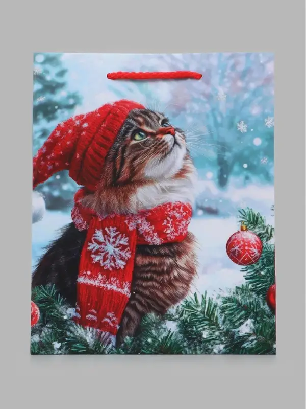 Пакет подарочный &laquo;Котик в красной шапке&raquo;, 18&times;10&times;22.3 см