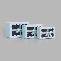 Набор подарочных коробок 3 в 1, прямоугольные с окном 23&times;16&times;9.5 21&times;14&times;8.0 19&times;12&times;6.5 см
