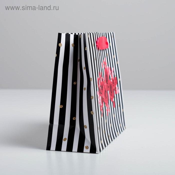 Пакет подарочный ламинированный, упаковка, «Gifts», 22 х 17,5 х 8 см Пакет подарочный ламинированный, упаковка, «Gifts», 22 х 17,5 х 8 см