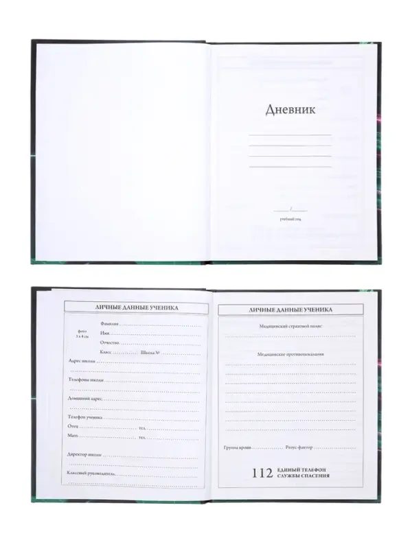 Дневник школьный для 1-4 классов, &laquo;Байк&raquo;, твёрдая обложка 7БЦ, матовая ламинация, 48 листов
