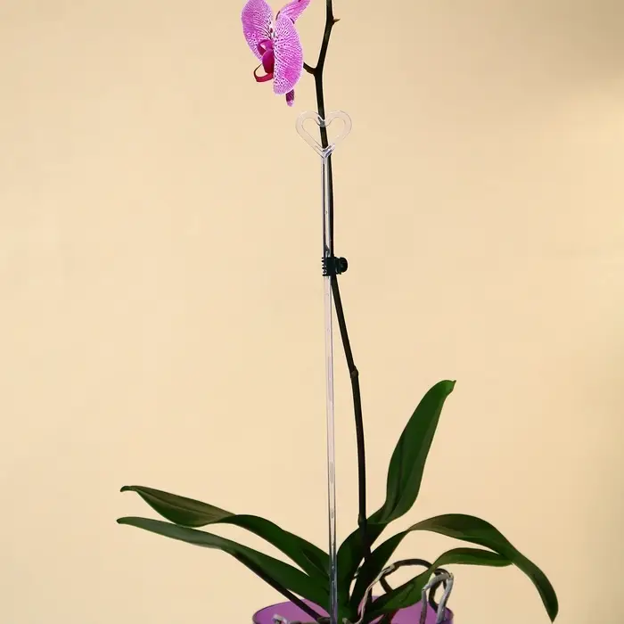 Опора для орхидей, h = 44 см, пластик, прозрачная, МИКС Опора для орхидей, h = 44 см, пластик, прозрачная, МИКС