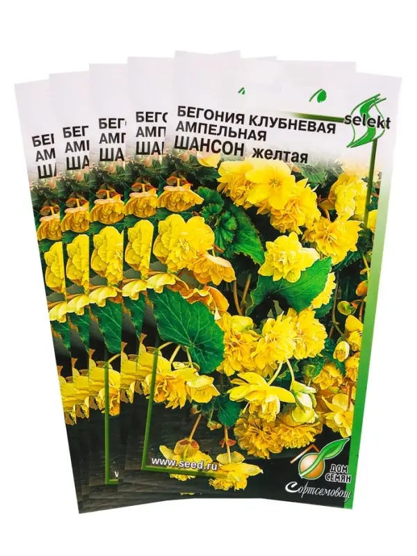 Набор семян Бегония ампельная &laquo;Шансон&raquo; клубневая, жёлтая, 5 шт., &laquo;Мой выбор&raquo;