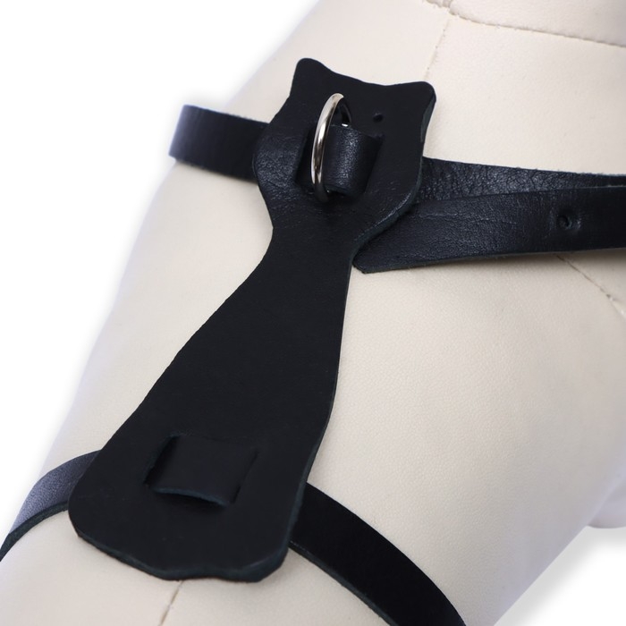 Шлейка кожаная, 1,2 см, для кошек и мелких пород собак, ОШ 26-34, ОГ 36-44, черная Шлейка кожаная, 1,2 см, для кошек и мелких пород собак, ОШ 26-34, ОГ 36-44, черная