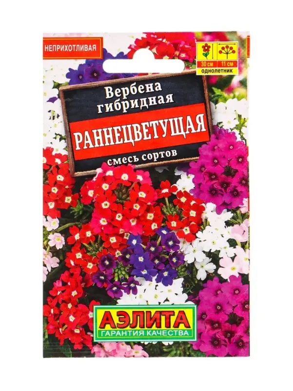 Семена цветов Вербена Раннецветущая, смесь сортов , Лидер,30 шт. Семена цветов Вербена Раннецветущая, смесь сортов , Лидер,30 шт.