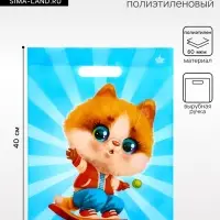 Пакет подарочный &laquo;Кот на спорте&raquo;, полиэтиленовый с вырубной ручкой, л 40&times;31 см, 60 мкм