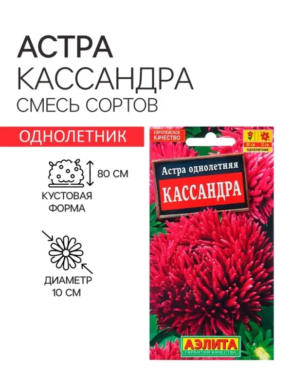 Семена Астра Кассандра  Ор. А Одн Ц/П 0,2г