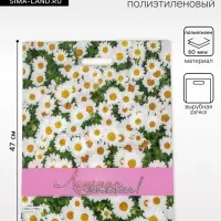 Пакет &laquo;Летняя поляна&raquo;, полиэтиленовый, с вырубной ручкой, 38&times;47 см, 60 мкм