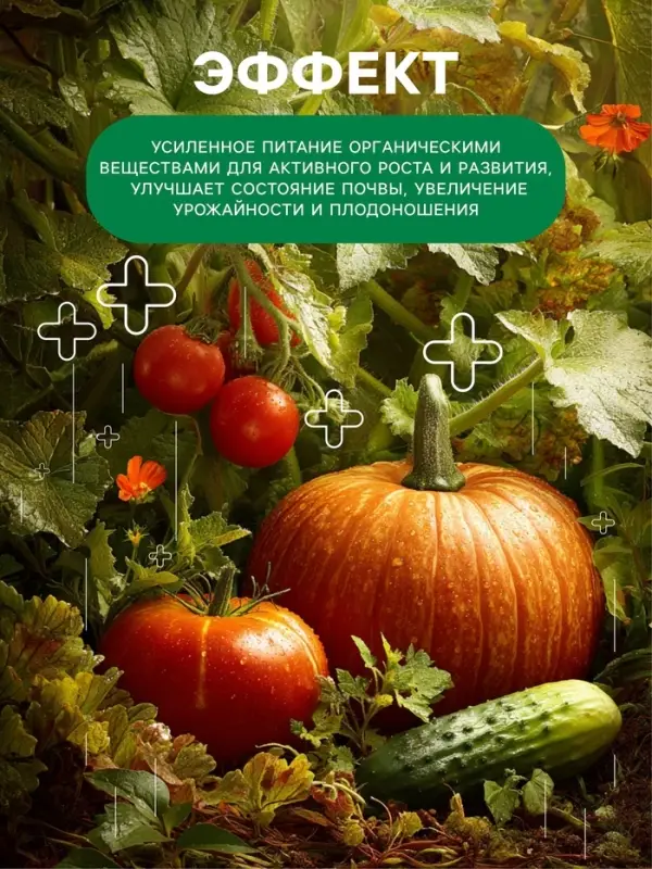 Органическое удобрение Конский навоз, экстракт, канистра, Ивановское, 3 л
