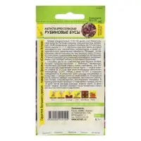 Семена Капуста Брюссельская "Рубиновые Бусы", Сем. Алт, ц/п, 0,1 г Семена Капуста Брюссельская "Рубиновые Бусы", Сем. Алт, ц/п, 0,1 г