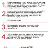 Семена Базилик &laquo;Зелёный ароматный&raquo;, 0.1 г, среднеранний, &laquo;Рецепты дедушки Никиты&raquo;