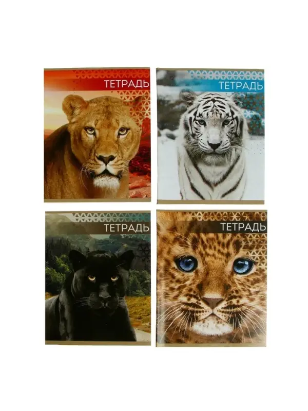 Тетрадь 48 листов в клетку, Calligrata &laquo;Дикие кошки&raquo;, обложка мелованная бумага, МИКС