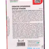Семена цветов Плюмерия Красный Турмалин  3 шт. 12.2029 г.
