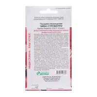 Семена Цветов Гвоздика межвидовая Чиба Строберри, 5 шт /Hem Genetics