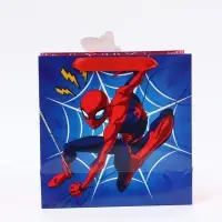 Пакет подарочный &laquo;Супергерой&raquo;, 22 &times; 22 &times; 10 см