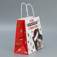 Пакет подарочный новогодний крафтовый &laquo;Котик&raquo;, 22&times;22&times;11 см