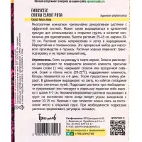 Семена цветов Гипоэстес &laquo;Сплэш Селект Роза&raquo;, 4 шт. &laquo;Григорьев&raquo;