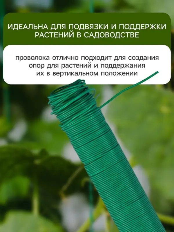 Проволока для подвязки растений, 50 м, металл, зелёная, Greengo