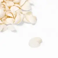 Набор ракушек декоративных 1.5-3 см, 100 г