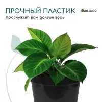 Горшок для рассады, 2 л, d=17.5 см, h=13 см, пластик, чёрный, Greengo