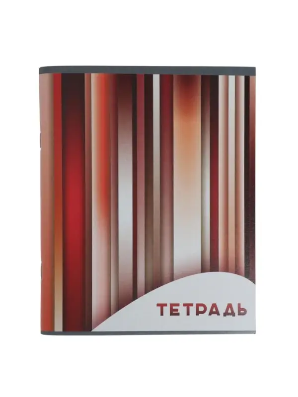 Набор тетрадей, 96 листов в клетку, Calligrata &laquo;Яркие полосы&raquo;, серые листы, 4 штуки