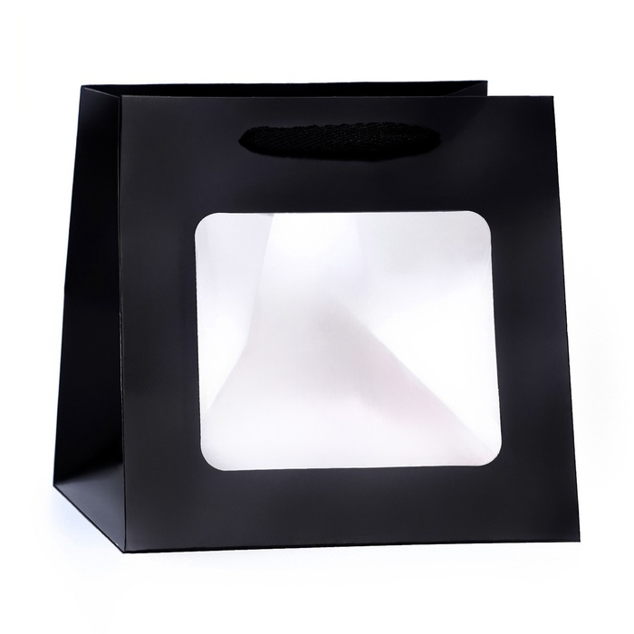 Пакет подарочный, крафт, с окном, «Черный», 15 х 15 х 15 см Пакет подарочный, крафт, с окном, «Черный», 15 х 15 х 15 см