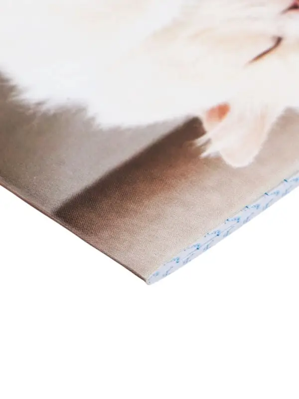 Набор блокнотов А6 40л кл на скобе Сладкий сон, мел карт, бл офс, 4В 20шт