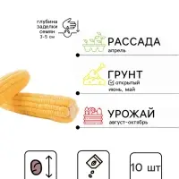Семена Кукуруза суперсладкая Country Gentleman, 10 шт. &laquo;Григорьев&raquo;