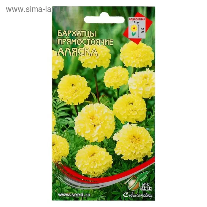 Семена цветов Бархатцы Семена цветов Бархатцы "Аляска" 40 шт