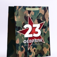 Пакет подарочный вертикальный «Защита»,  M 26 × 32 × 12 см