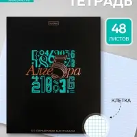 Предметная тетрадь по алгебре Hatber &laquo;Салют предметов&raquo;, 48 листов, в клетку, со справочным материалом, обложка из мелованного картона