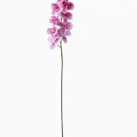 Цветы искусственные &laquo;Орхидея Тигровая&raquo;, h=90 см, бело-сиреневые