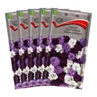 Набор семян Иберис зонтичный "Ежевичные меренги", 5 шт. Набор семян Иберис зонтичный "Ежевичные меренги", 5 шт.