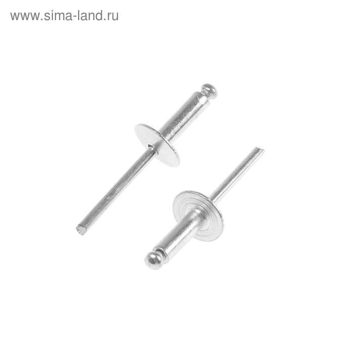 Заклепки вытяжные ТУНДРА krep, алюминий-сталь, увел.борт 14 мм, 4.8х16 мм, 250 шт. Заклепки вытяжные ТУНДРА krep, алюминий-сталь, увел.борт 14 мм, 4.8х16 мм, 250 шт.